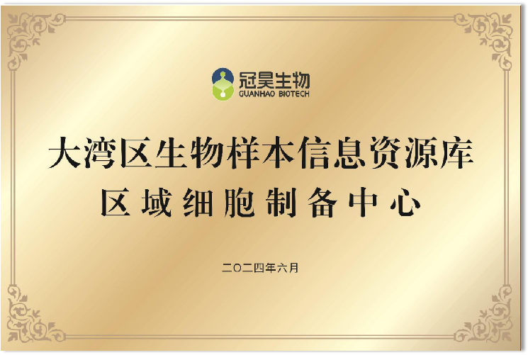 2024年